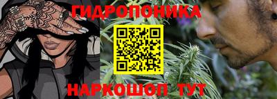 гашик Кунгур