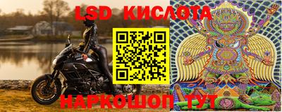 гашик Кунгур
