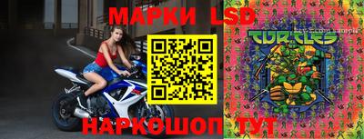 гашик Кунгур