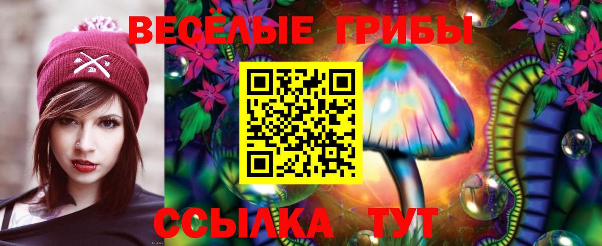 Ейск  Галлюциногенные грибы MAGIC MUSHROOMS  Вход с VPN  Галлюциногенные грибы прущие грибы 