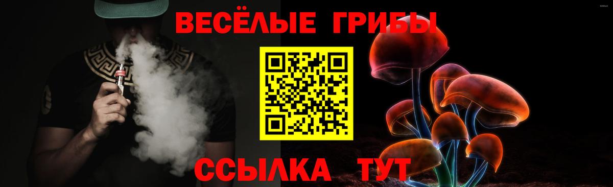 Псилоцибиновые грибы мицелий Ейск